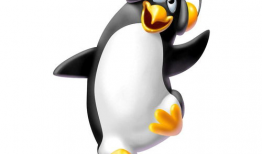 企鹅漫画图片,趣味横生的海洋生活剪影